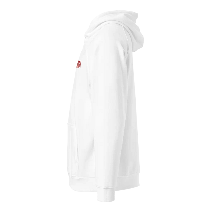 Eco-Friendly EIDI Hoodie product image (2)