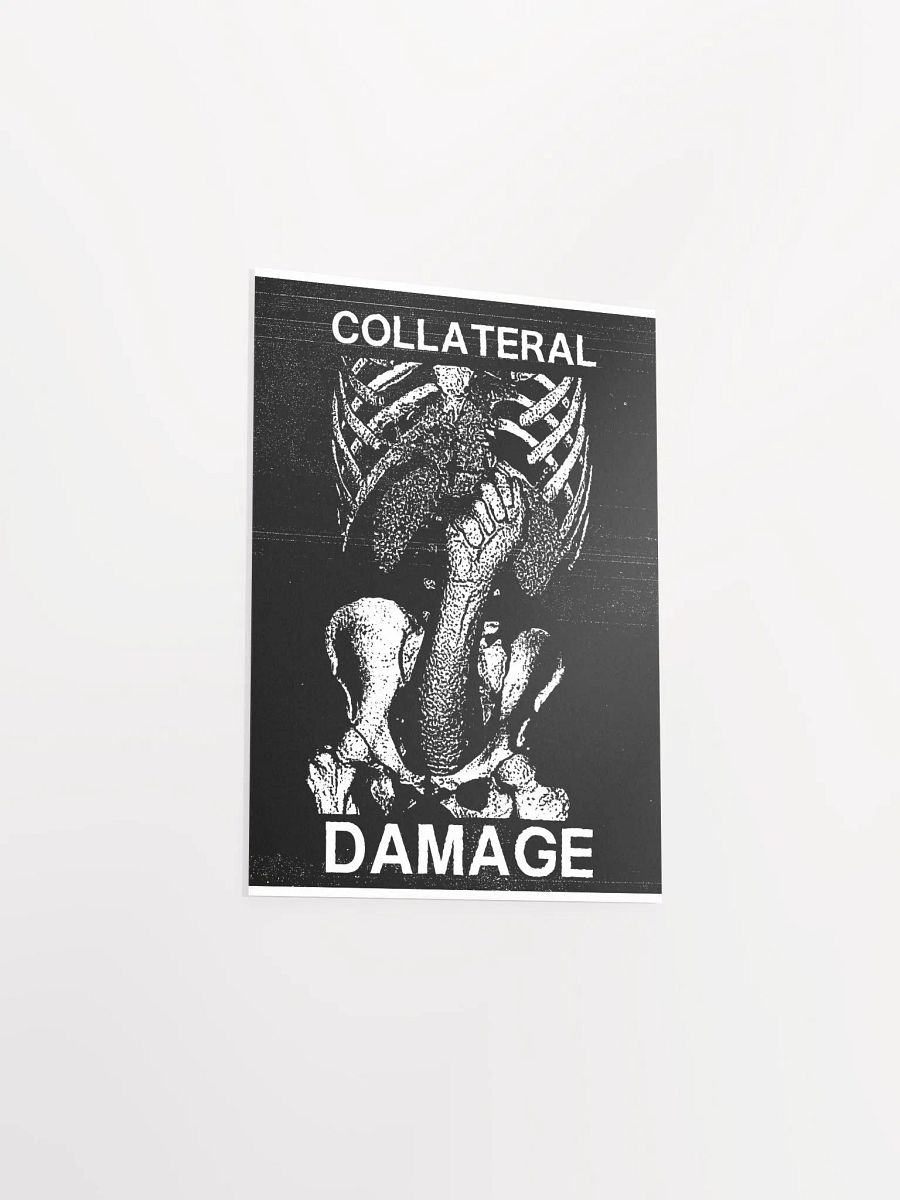 COLLATERAL DAMAGE product image (37)