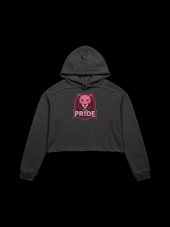 The Pride Crop Sweater product image (33)