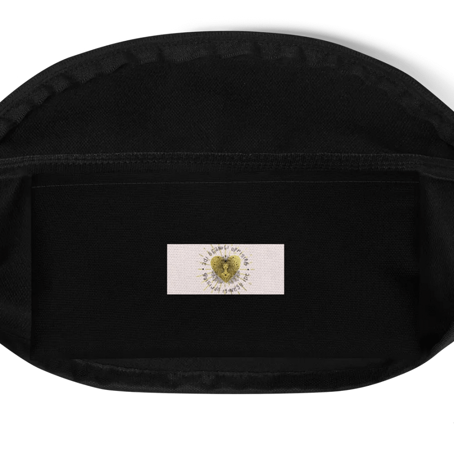 Kundalini Hip Pouch product image (7)
