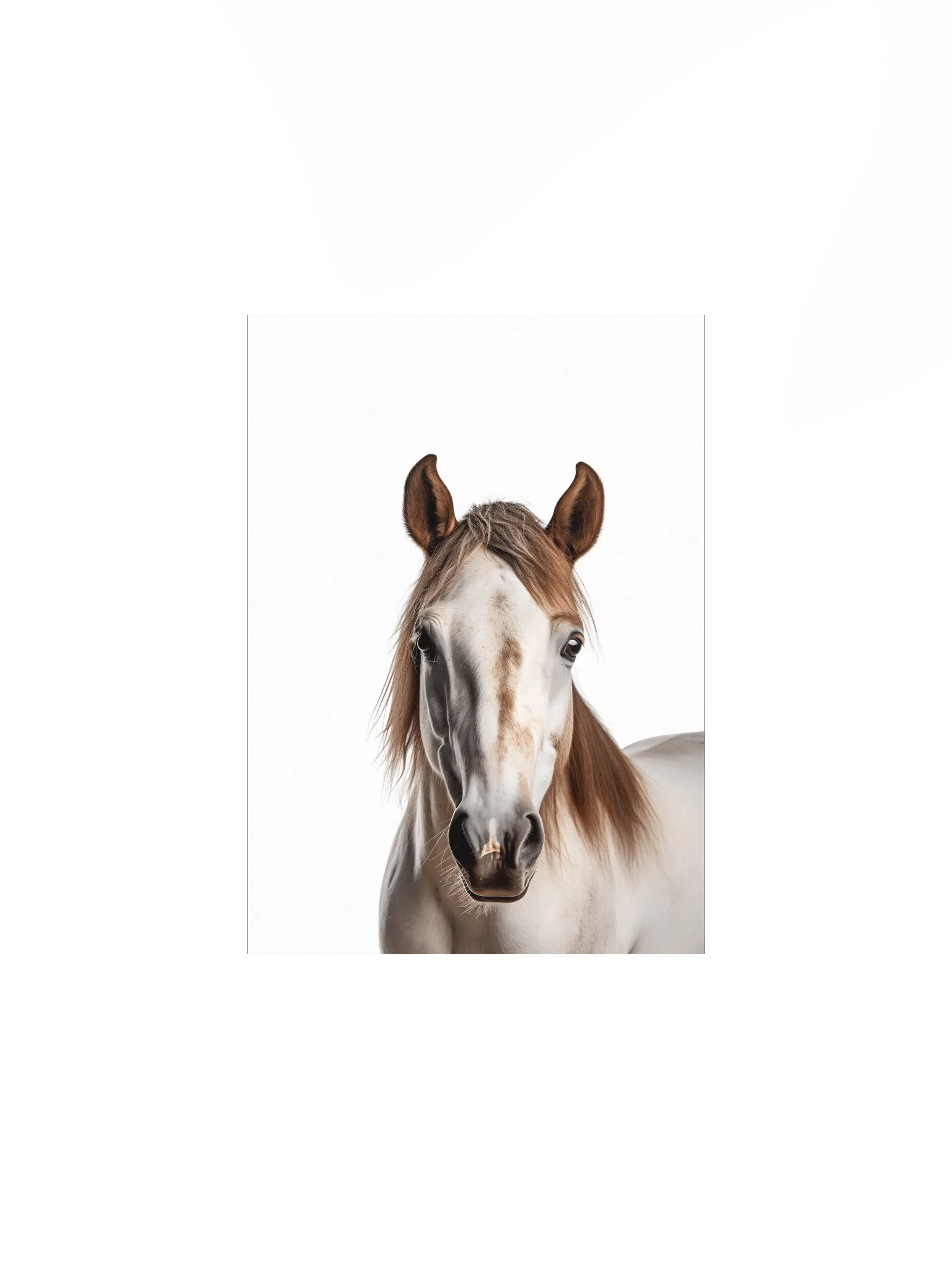 Farm Animal Spotted Horse Decor Print product image (3)