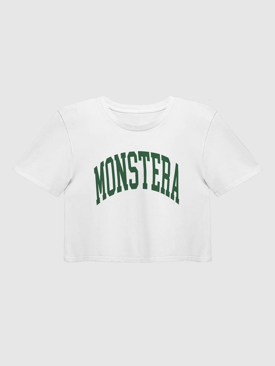 MONSTERA varsity crop top product image (2)