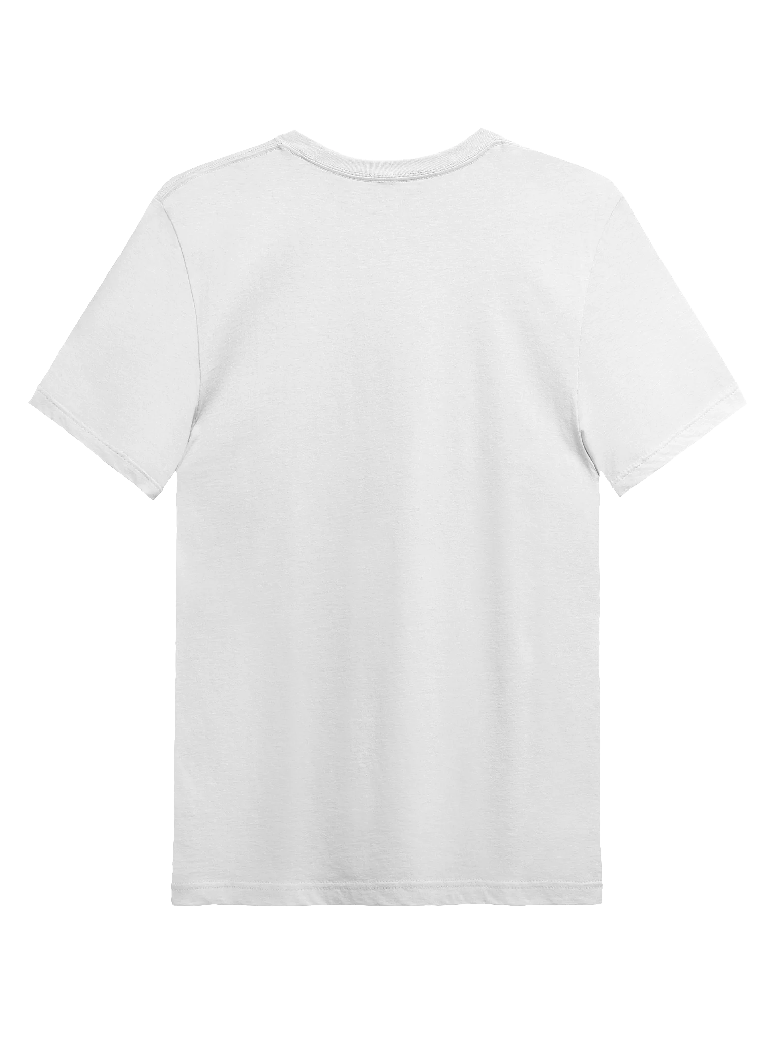 Dolphin Hype Graphic T-Shirt (2025) product image (2)