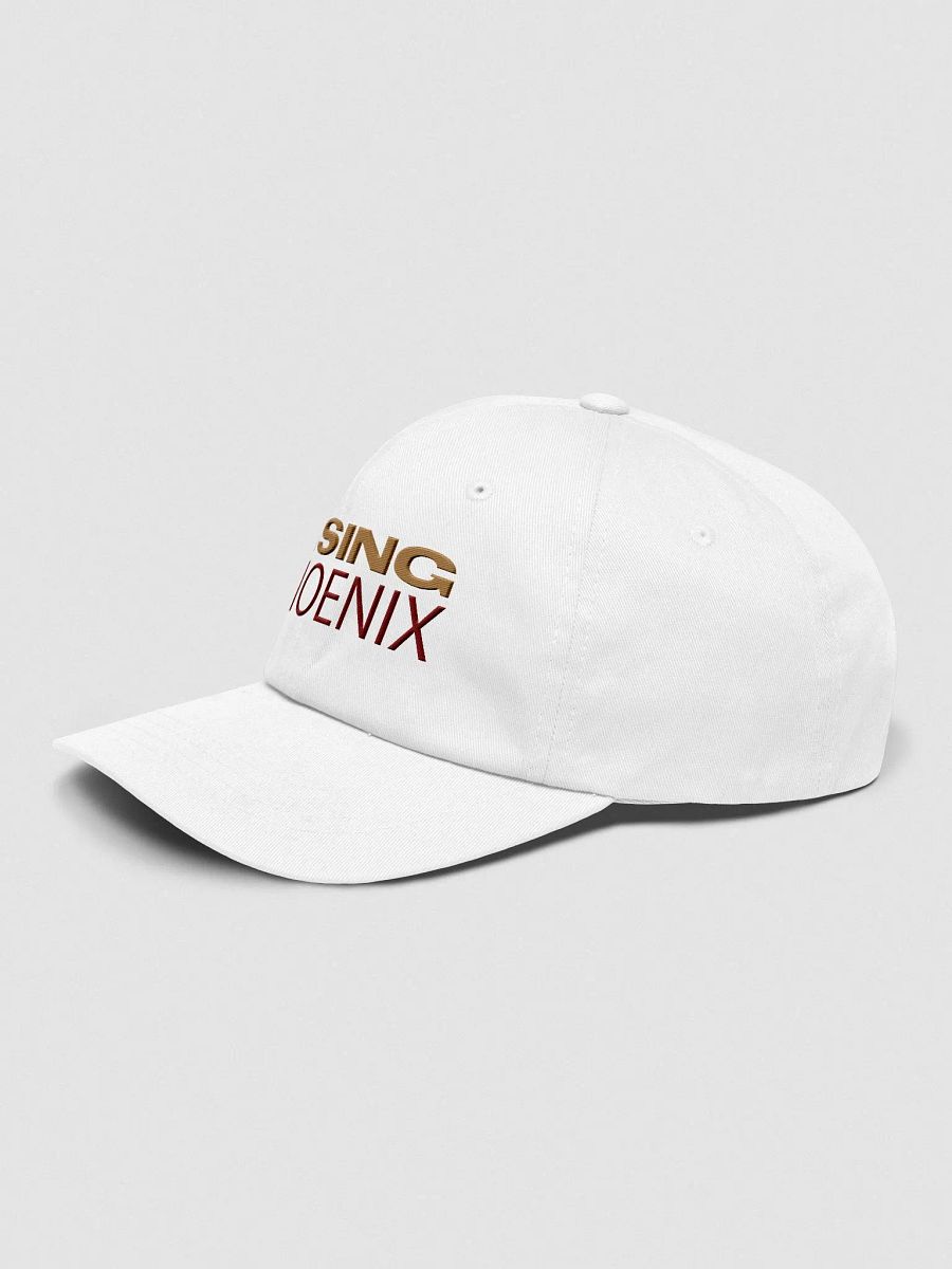 Hat product image (3)
