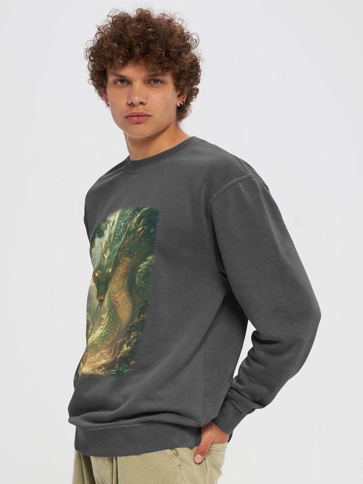 Mystical Dragon Encounter Sweatshirt product image (1)