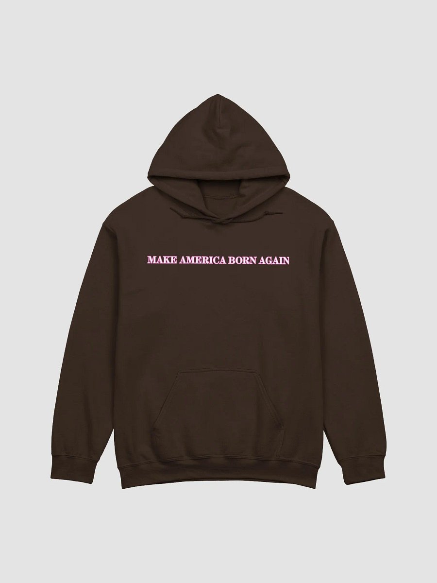 Woman's Make America Born Again Hoodie product image (2)