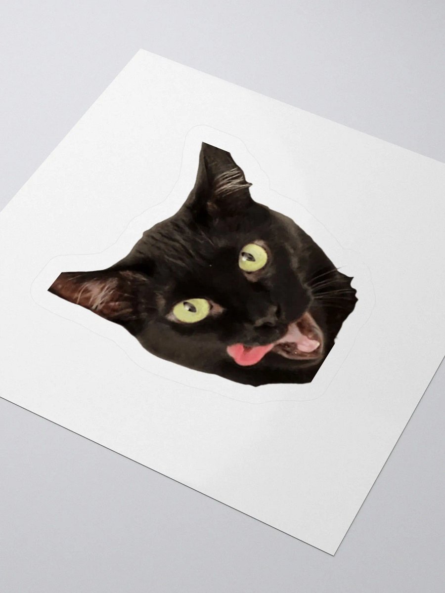 Raven Sticker product image (3)