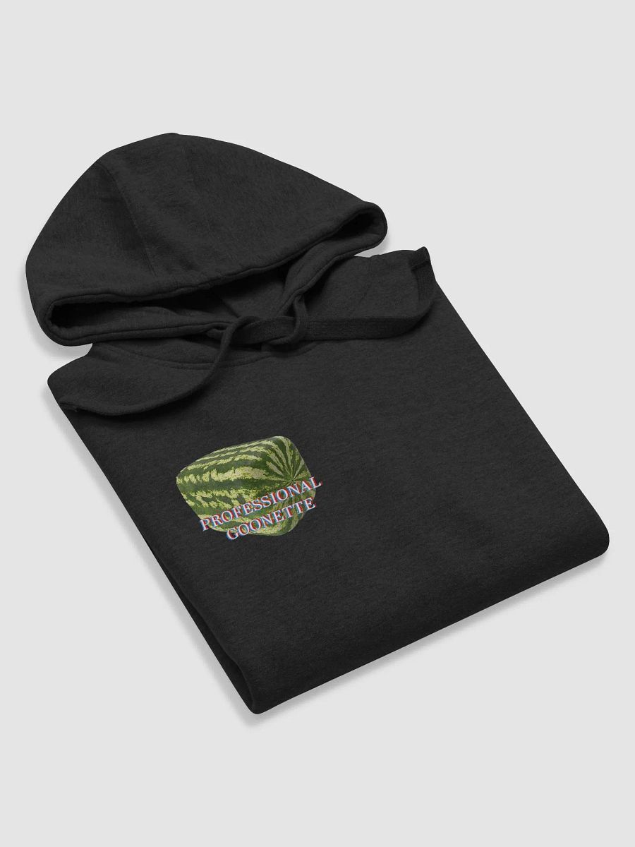 Professional Goonette Hoodie product image (5)