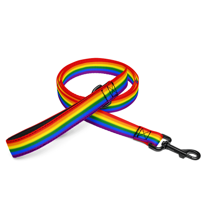 Rainbow Pride Flag Pet Leash product image (1)