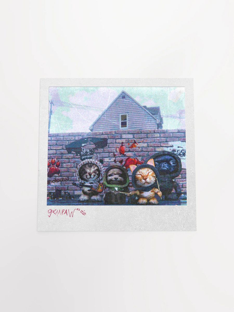 GRANDPAW POLAROID product image (18)