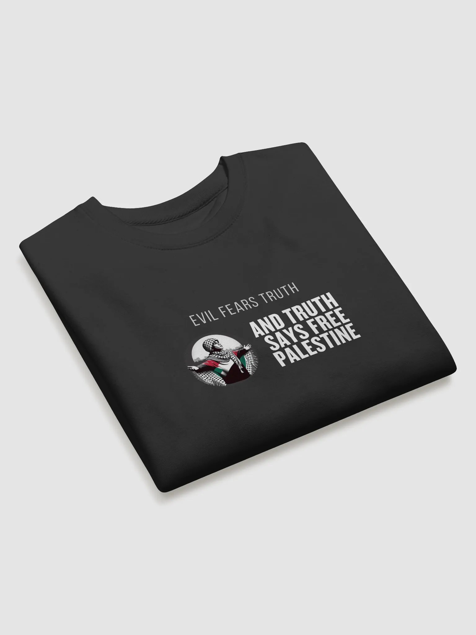Americana Comfort Premium Sweatshirt | Evil fears truth, and truth says: Free Palestine. product image (16)