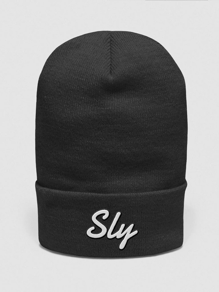 Cuffed Beanie product image (1)