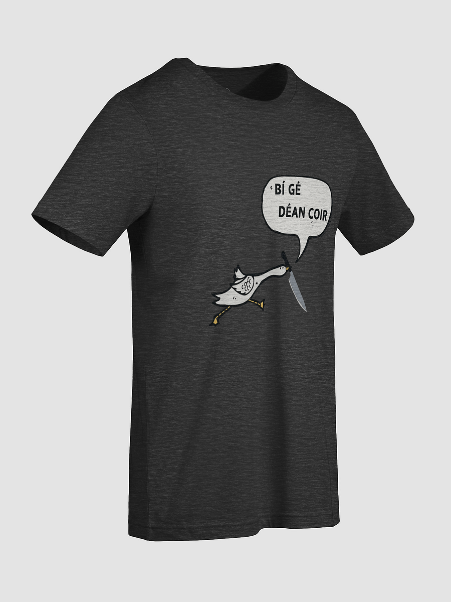 Bí Gé Déan Coir T-shirt product image (5)