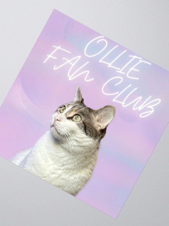 "OLLIE FAN CLUB" Sticker product image (4)