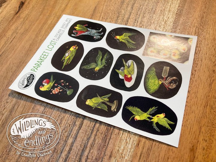 'Parakeet Lost' Sticker Sheet product image (1)