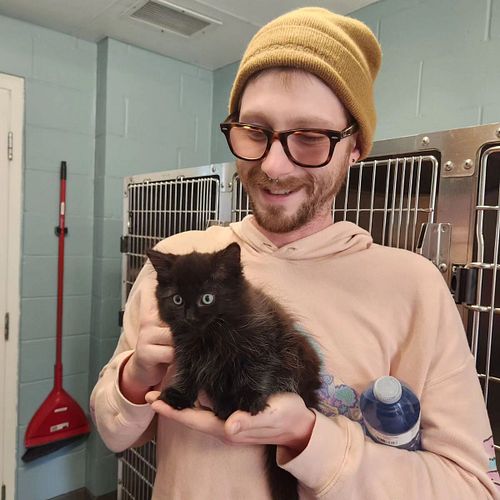 How it started vs. How it's going 
-
-
-
#cat #cats #cute #adorable #kitten