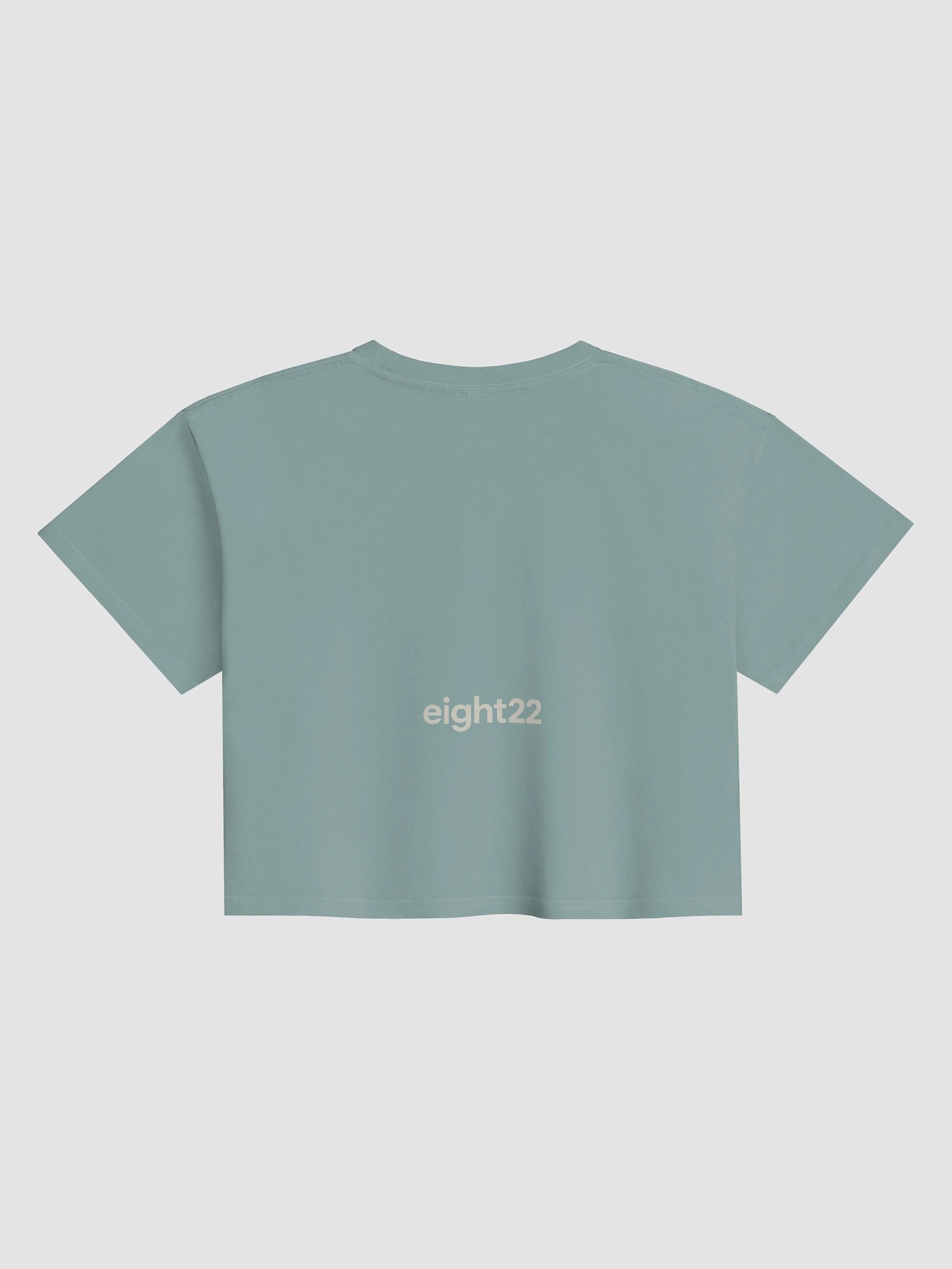 Talent & Character eight22 Beige Sans-Serif Crop Top product image (12)