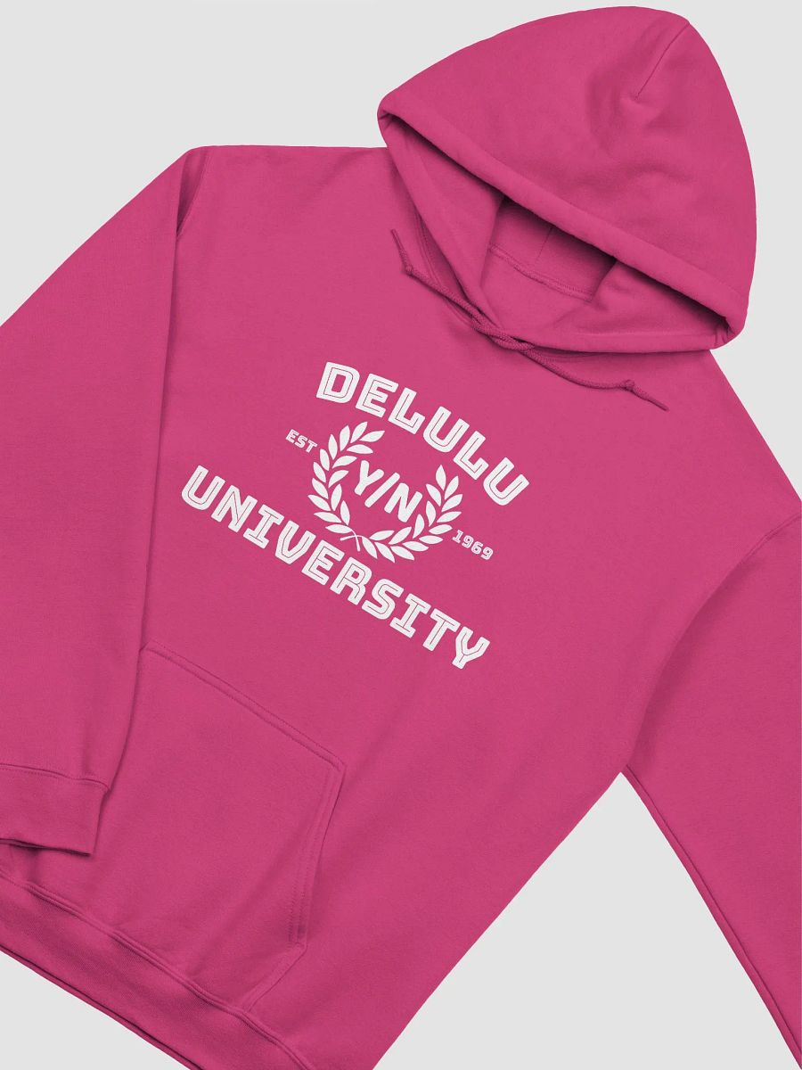 CerberosVA Delulu University Hoodie product image (3)