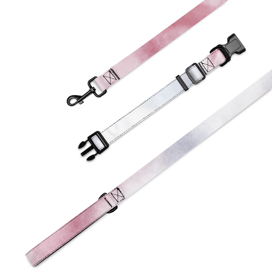 Whimsical Pet Collar & Leash Set product image (1)