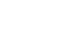 Basement Shop