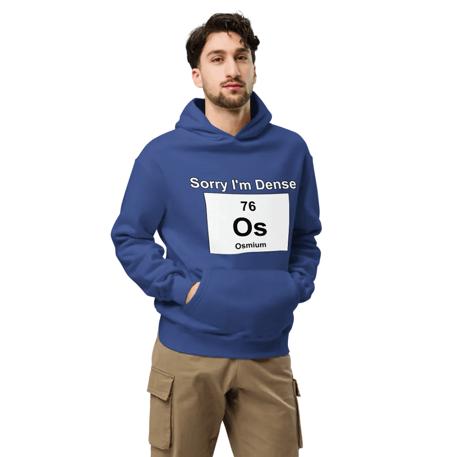 Sorry I'm Dense Premium Hoodie product image (7)