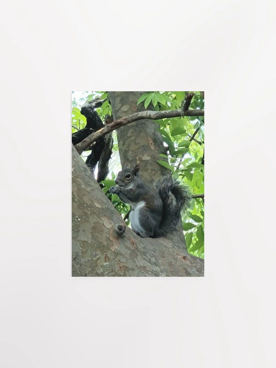 Squirrel FL product image (8)