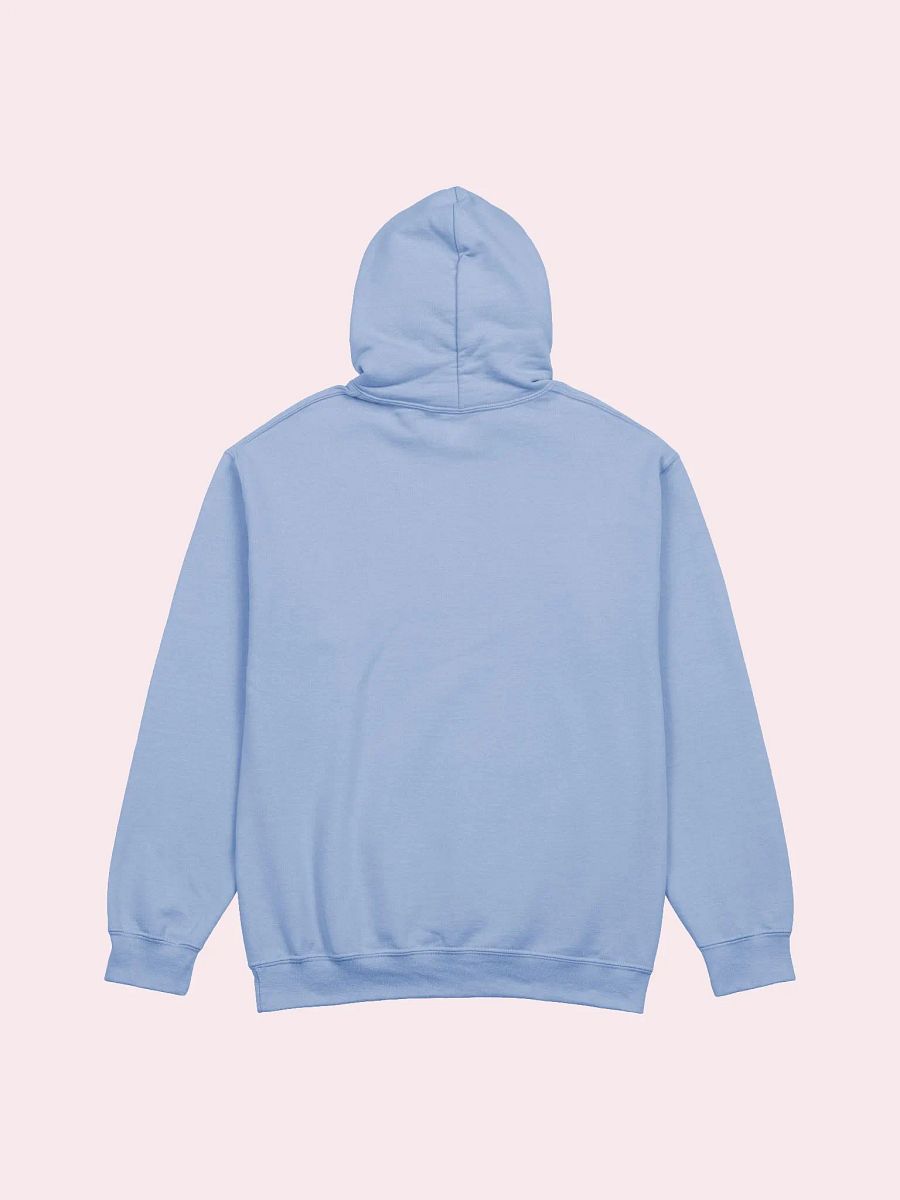 what the heck Hoodie product image (4)