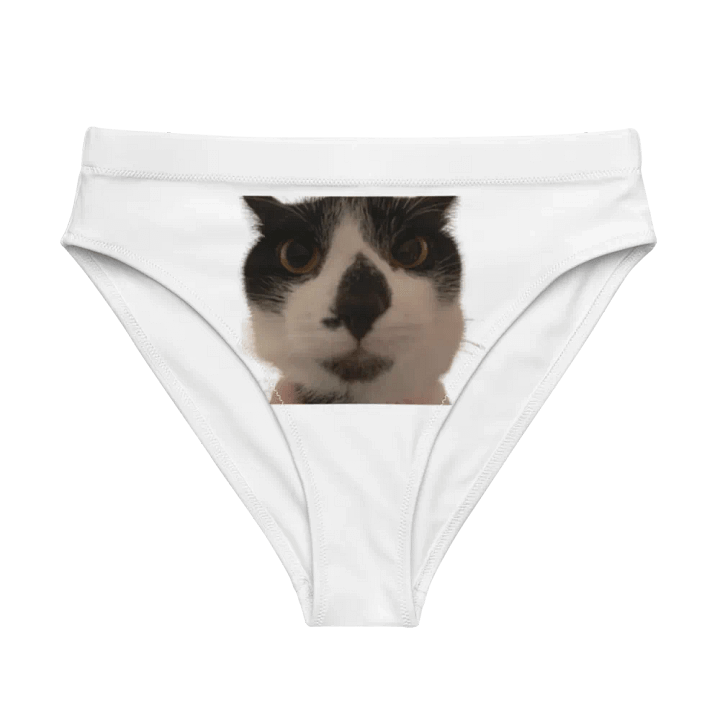 KYLO PANTIES product image (1)