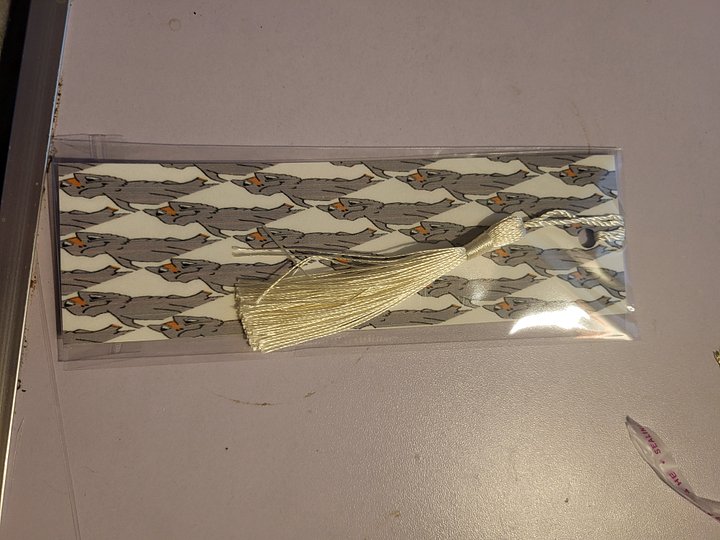 Cute Cartoon Bearded Dragon Pattern Laminated Bookmark with Tassel for the Reptile Loving Book Reader in Your Life product image (2)