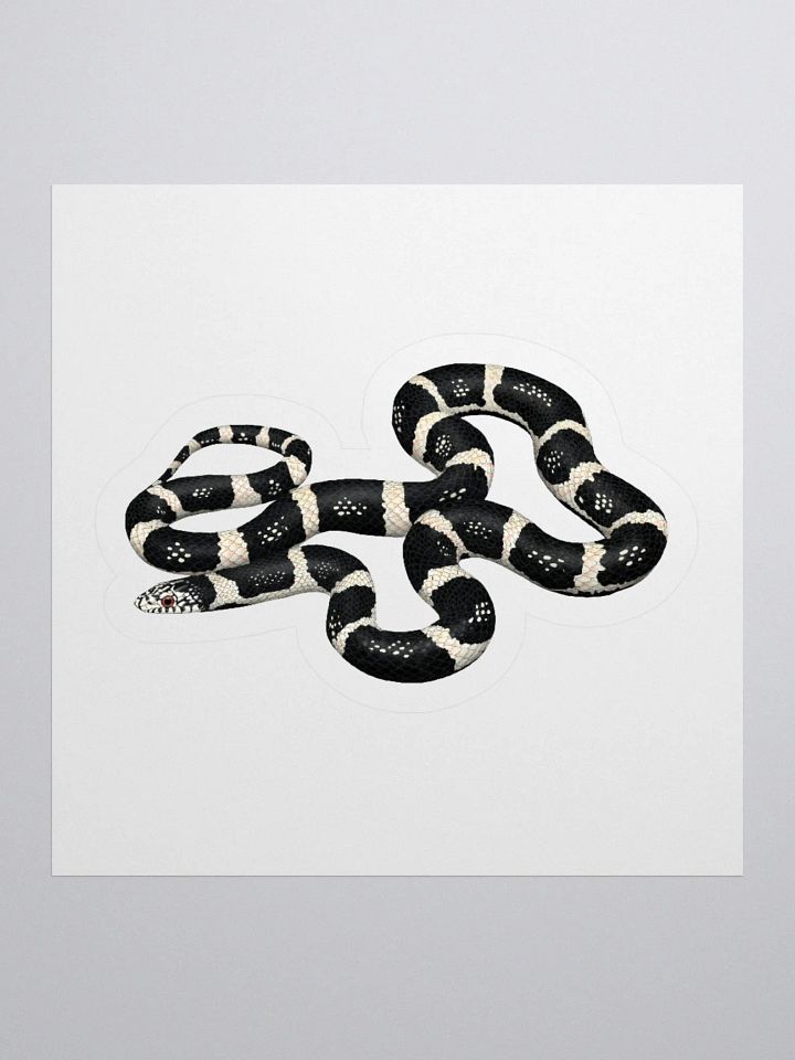 Die-Cut Sticker – Longnosed Snake Clarus Phase product image (1)