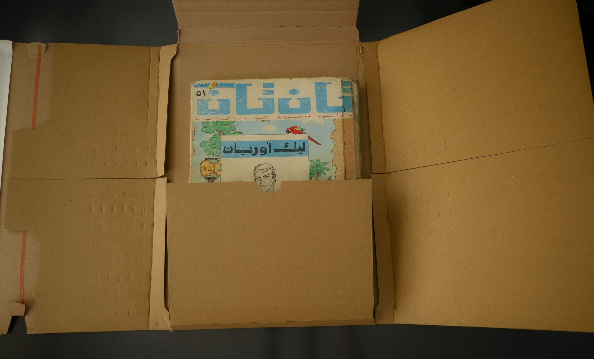 مجلد مجلة تان تان عام 1976 (المجلد الحادي والخمسون) product image (7)