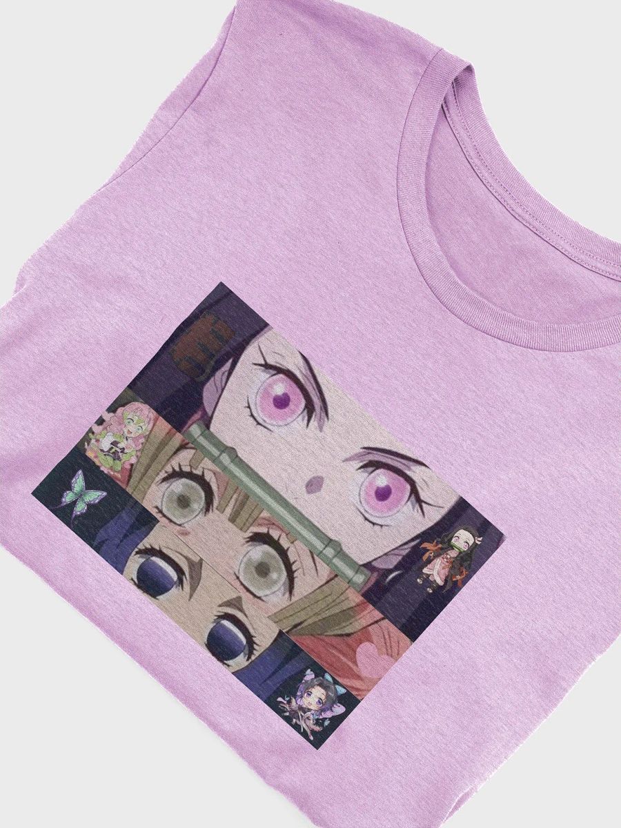 DS product image (4)