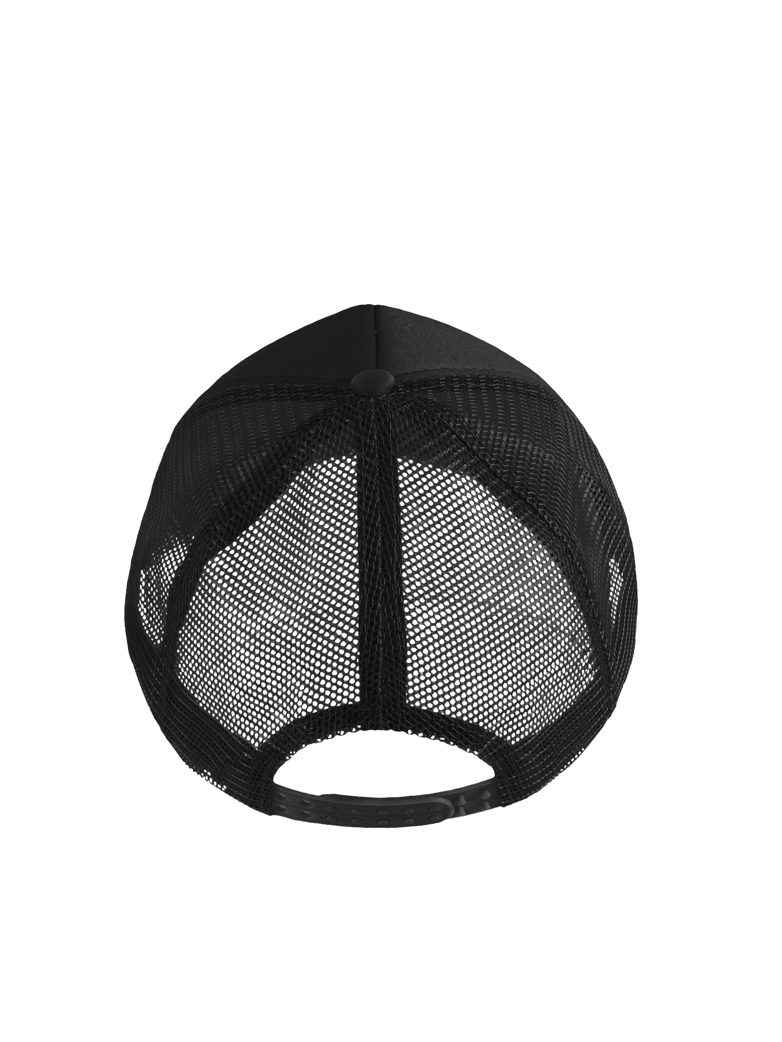 Whiprays Logo Hat product image (2)