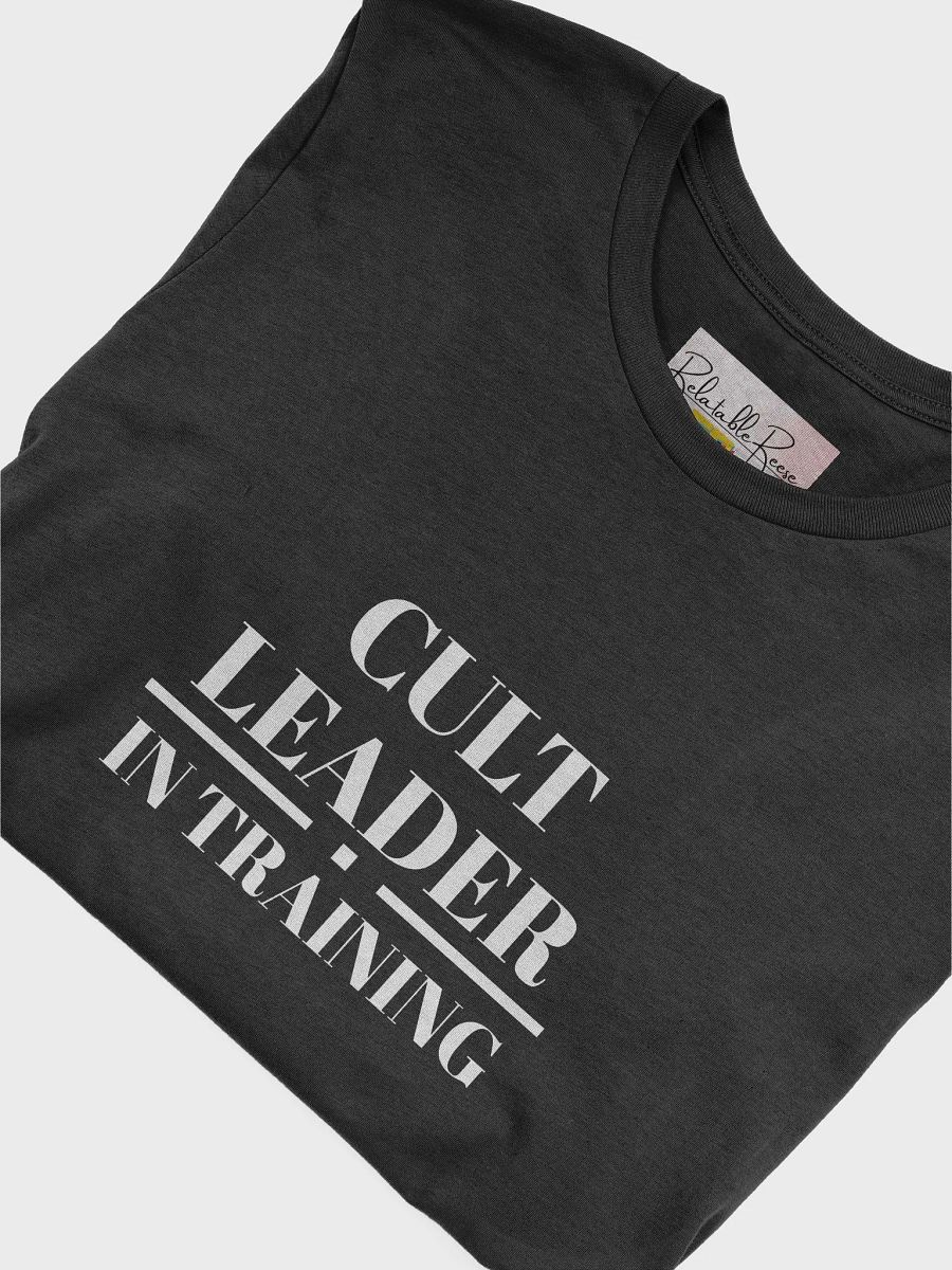 Cult Leader In Training T-Shirt product image (39)
