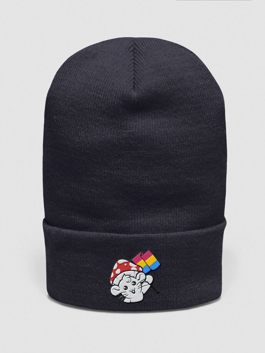 Pansexual beanie product image (6)