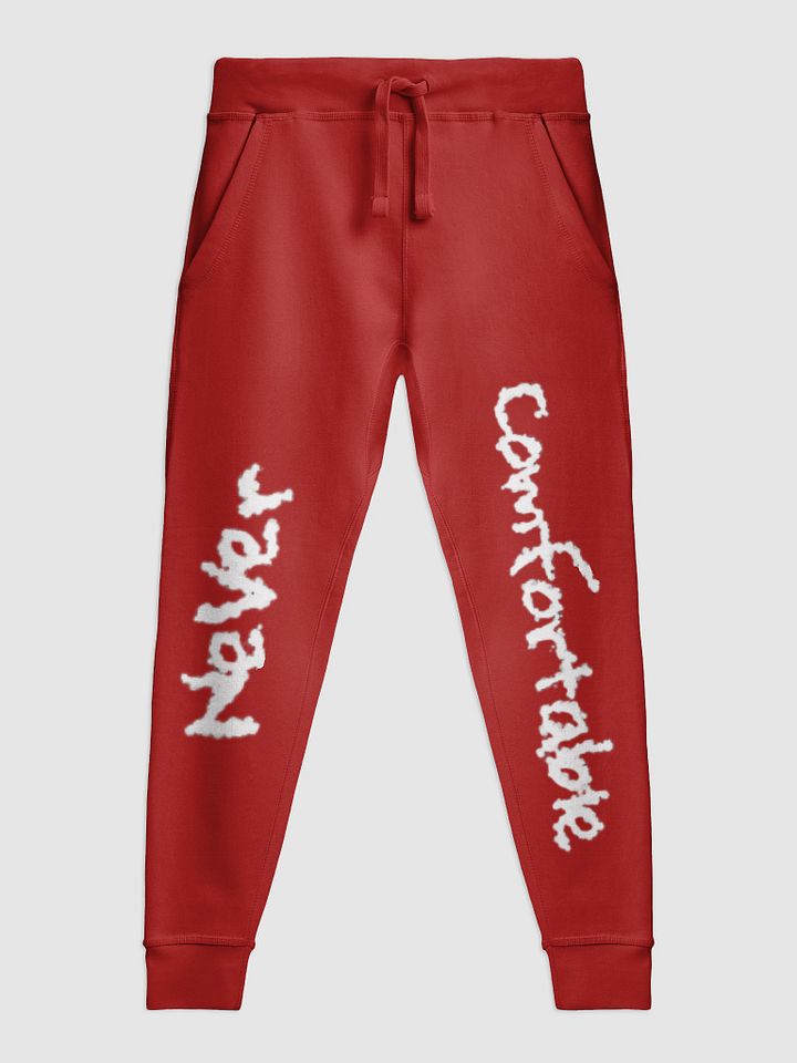 NEVER COMFORTABLE JOGGERS - V.HUE product image (20)