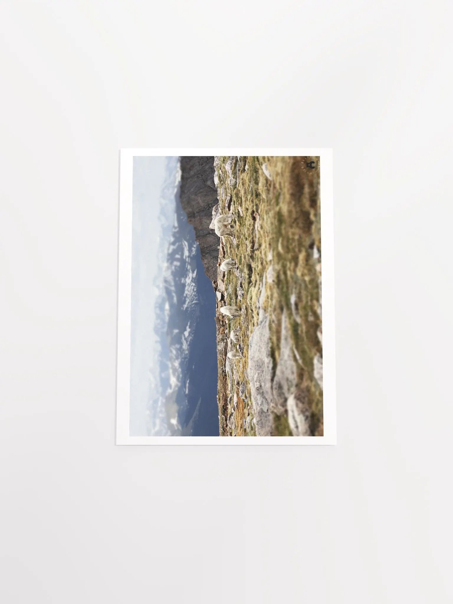 Mountain Goats Grazing Poster product image (30)