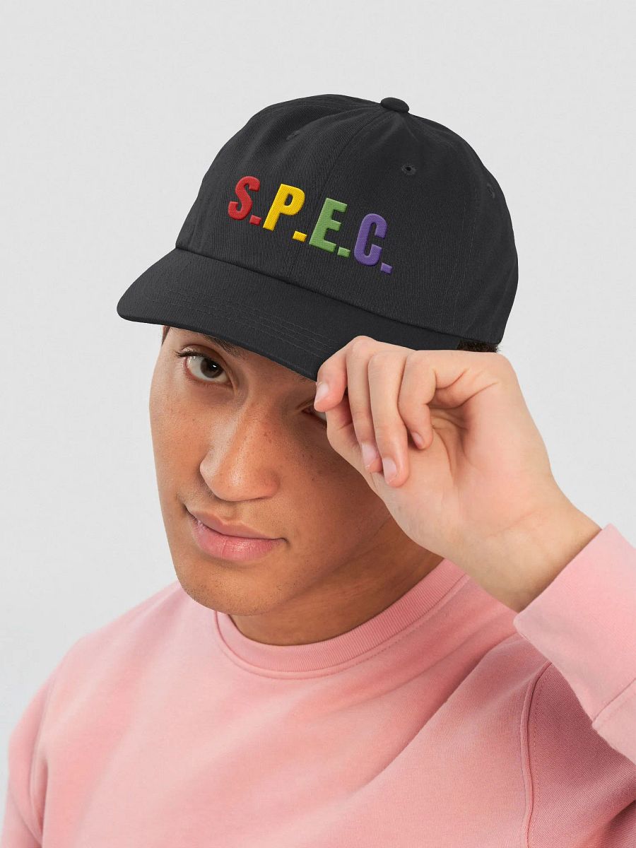 S.P.E.C. Colorful Dad Hat product image (45)