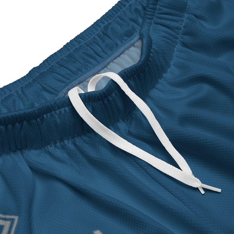 Guild Shorts product image (3)