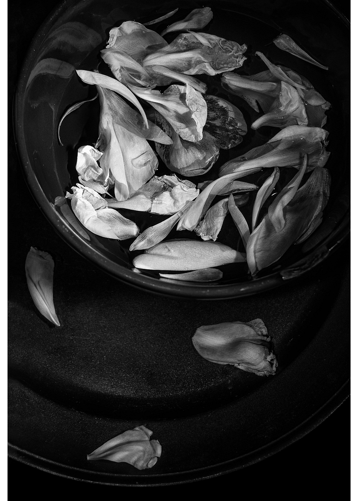 Floating Petals - Print product image (1)