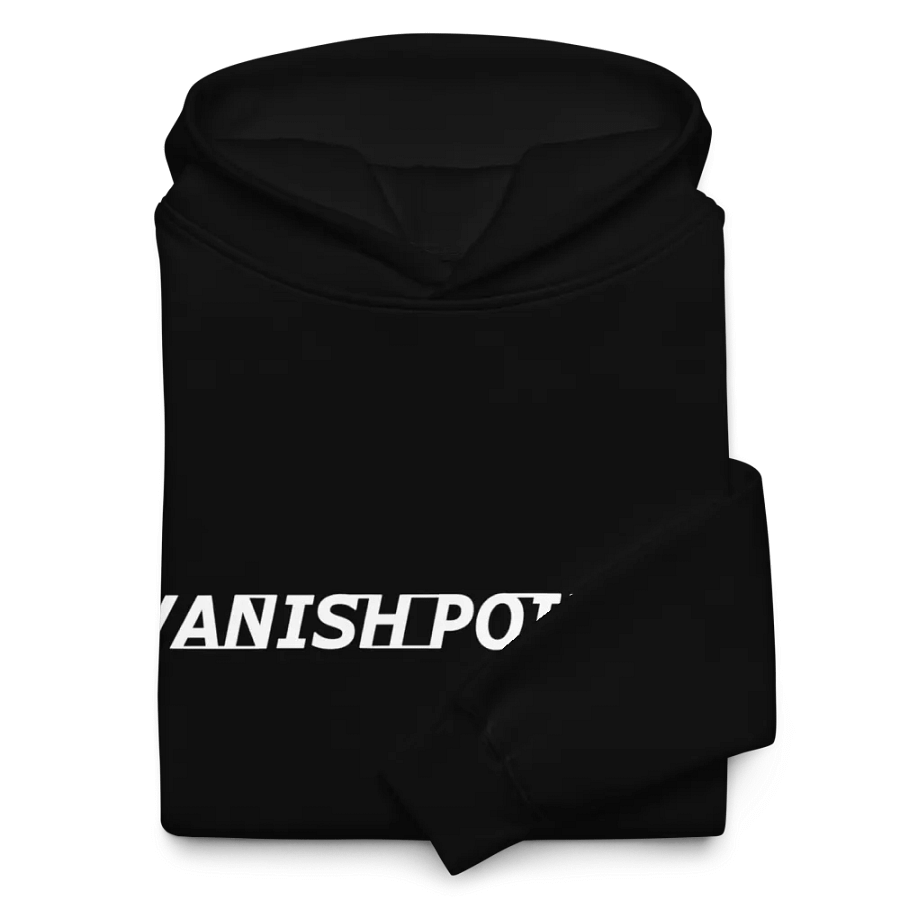 VP Hoodie product image (10)