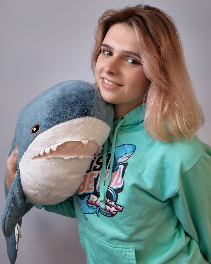 Blahaj Blast Hoodie product image (2)
