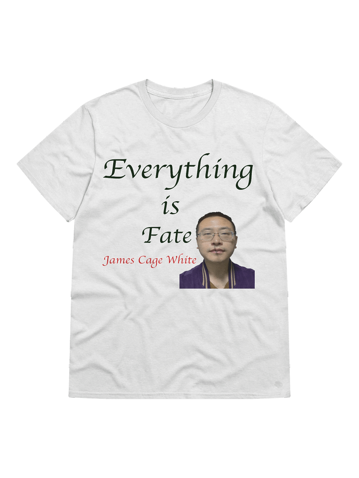 Gildan Lightweight Fashion Short Sleeve T-Shirt: fate product image (3)