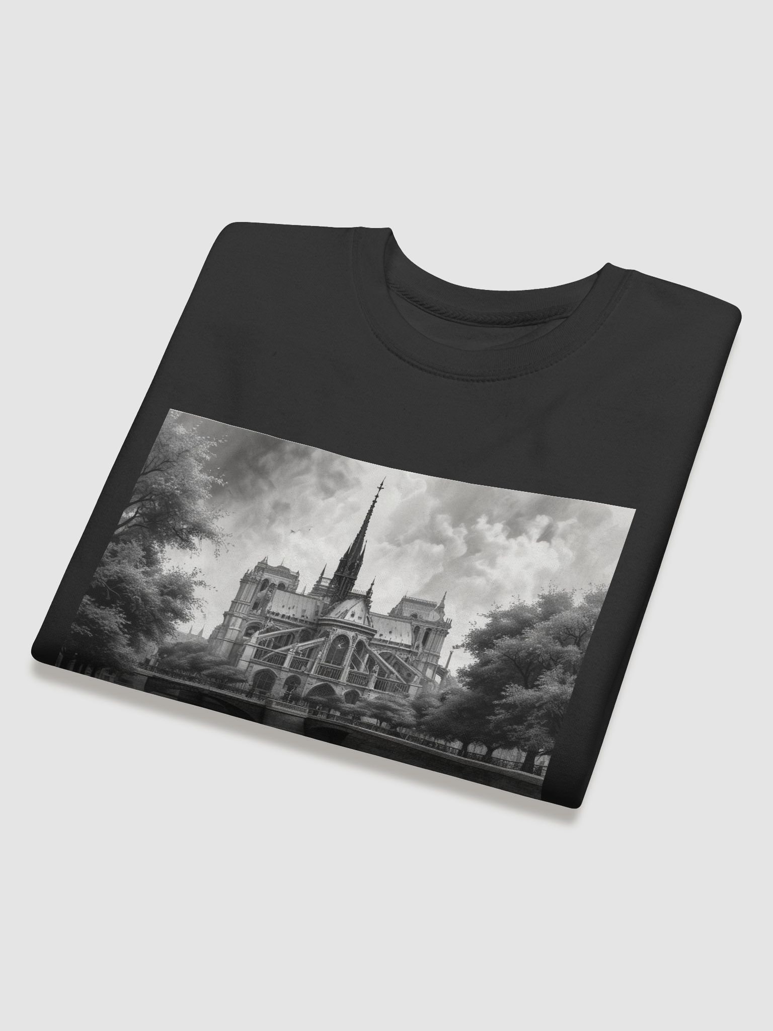 notre dame de paris product image (32)