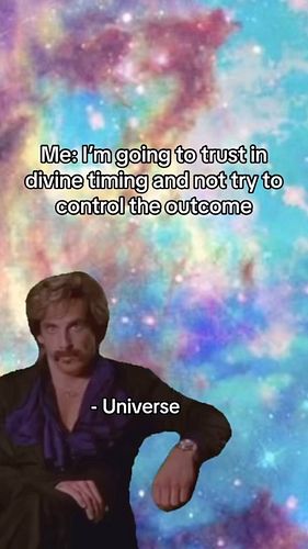 #universe #manifestationmindset #funnymeme #chakras #memes #funny #foryoureel #loa #lawofattraction #manifestation