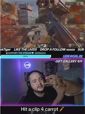 LIVE RN!!! Hitting 6ks for @Carrot the Golden 🥕✨ #tiktoklive #livehighlights  #trending #fyp #puppy 