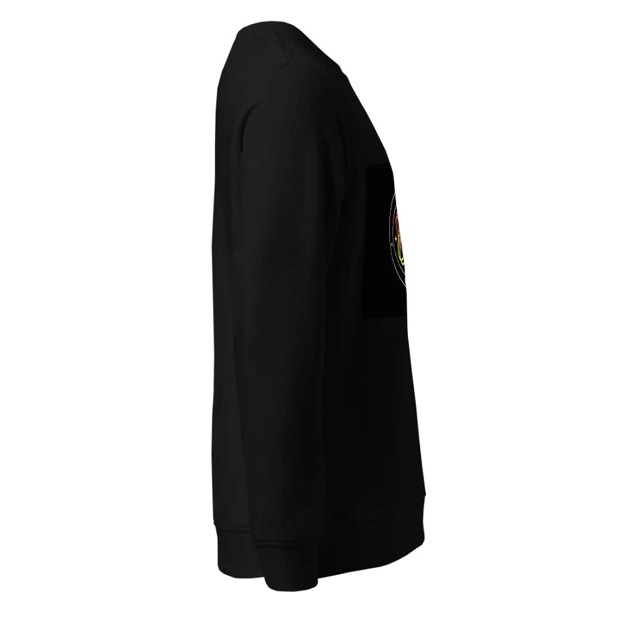 RFTV winter wear Sweatshirt product image (4)