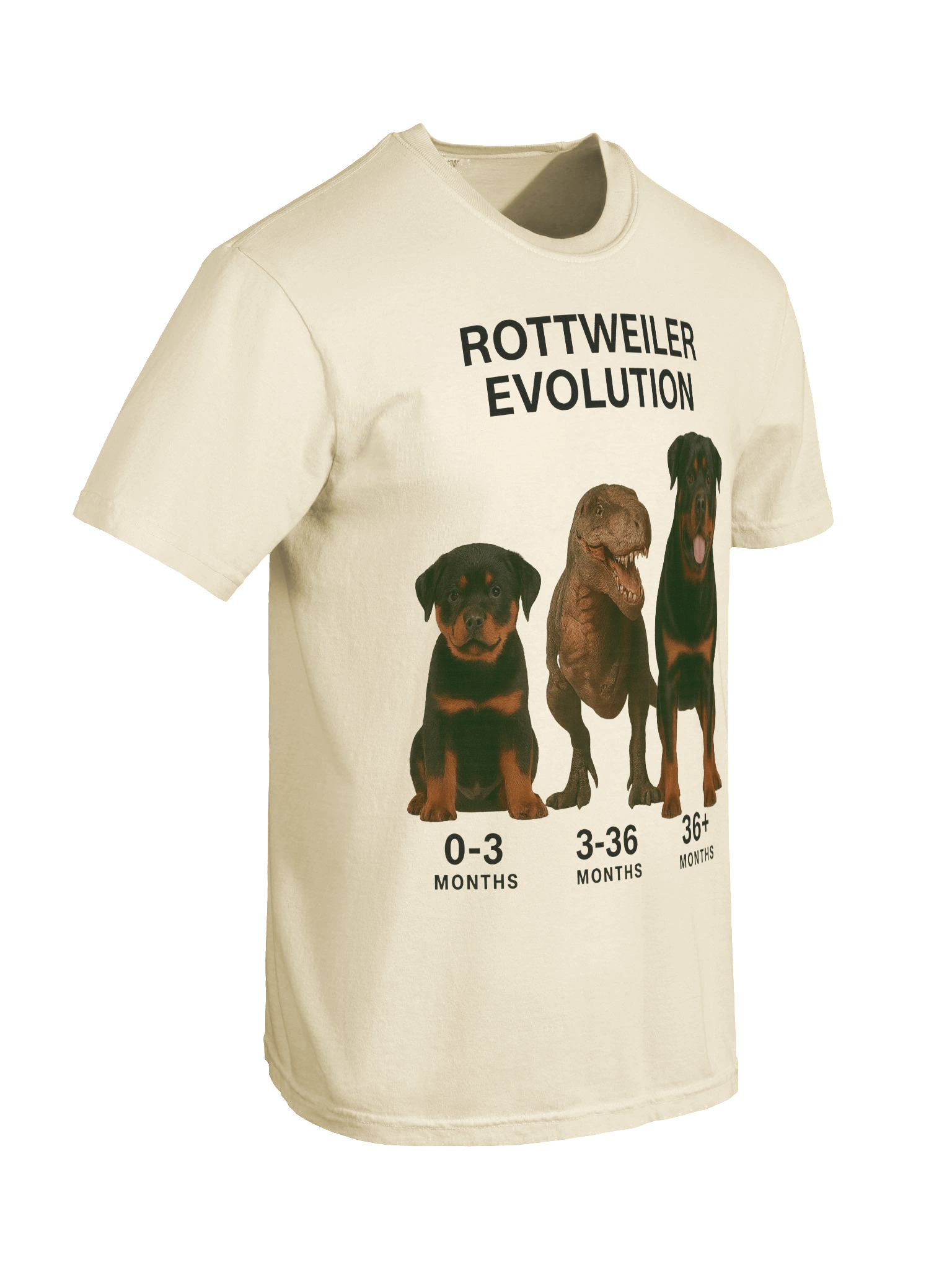 Rottweiler Evolution Tee product image (104)