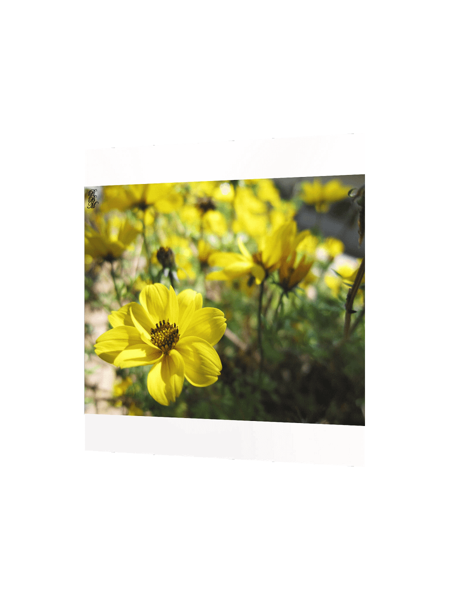 Yellow Flowers product image (6)