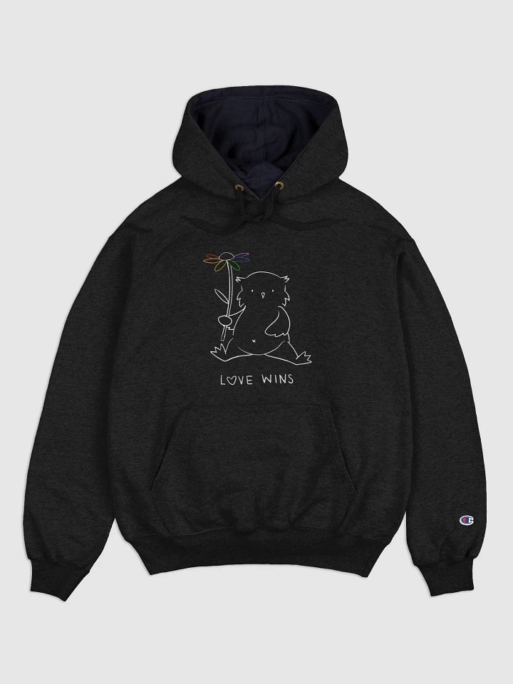 Love Wins Champion Cotton Max Hoodie (Black) product image (1)